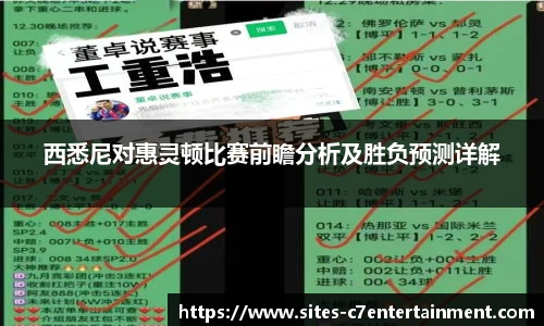 西悉尼对惠灵顿比赛前瞻分析及胜负预测详解